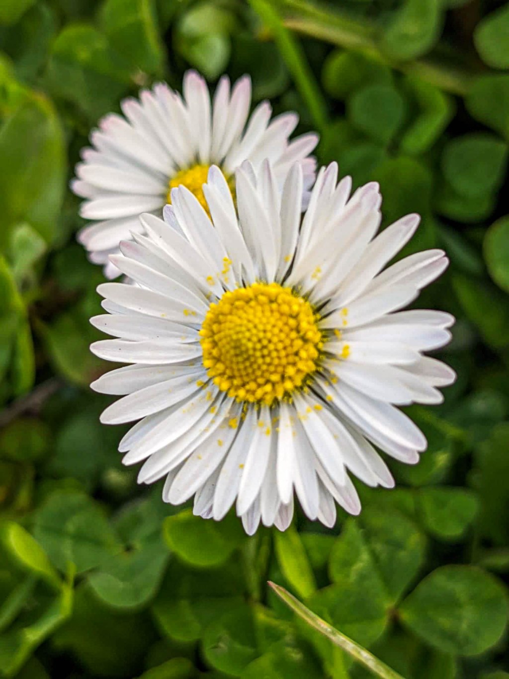 Hello June, Hello Sunshine, Hello&nbsp;Summer