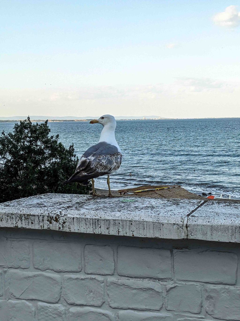 Bulgarian Trip Part&nbsp;II