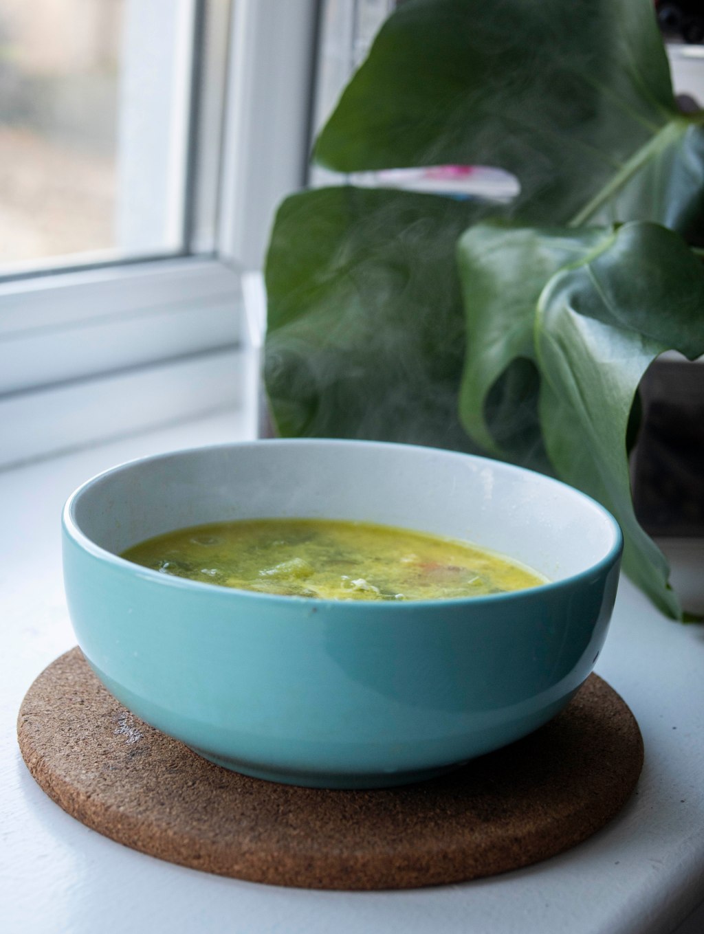 Photo of a bowl with soup next to big green leaves